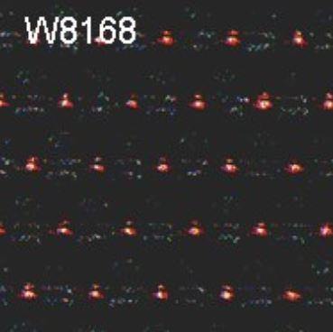 Armrest Lid - Cloth - 147 & GT - Alfa Romeo Shop