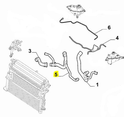 Coolant Hose - Giulia 2.9