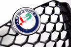 Carbon Fibre Grille - Alfa Romeo Giulia veloce Quadrifoglio