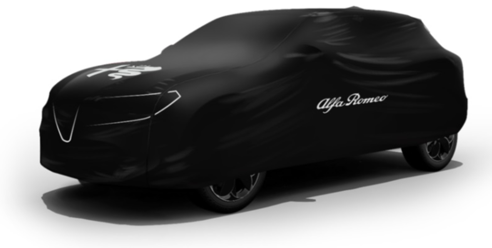 Indoor Car Cover - Junior